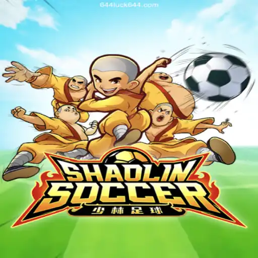 Discover the Exciting World of Shaolin Soccer